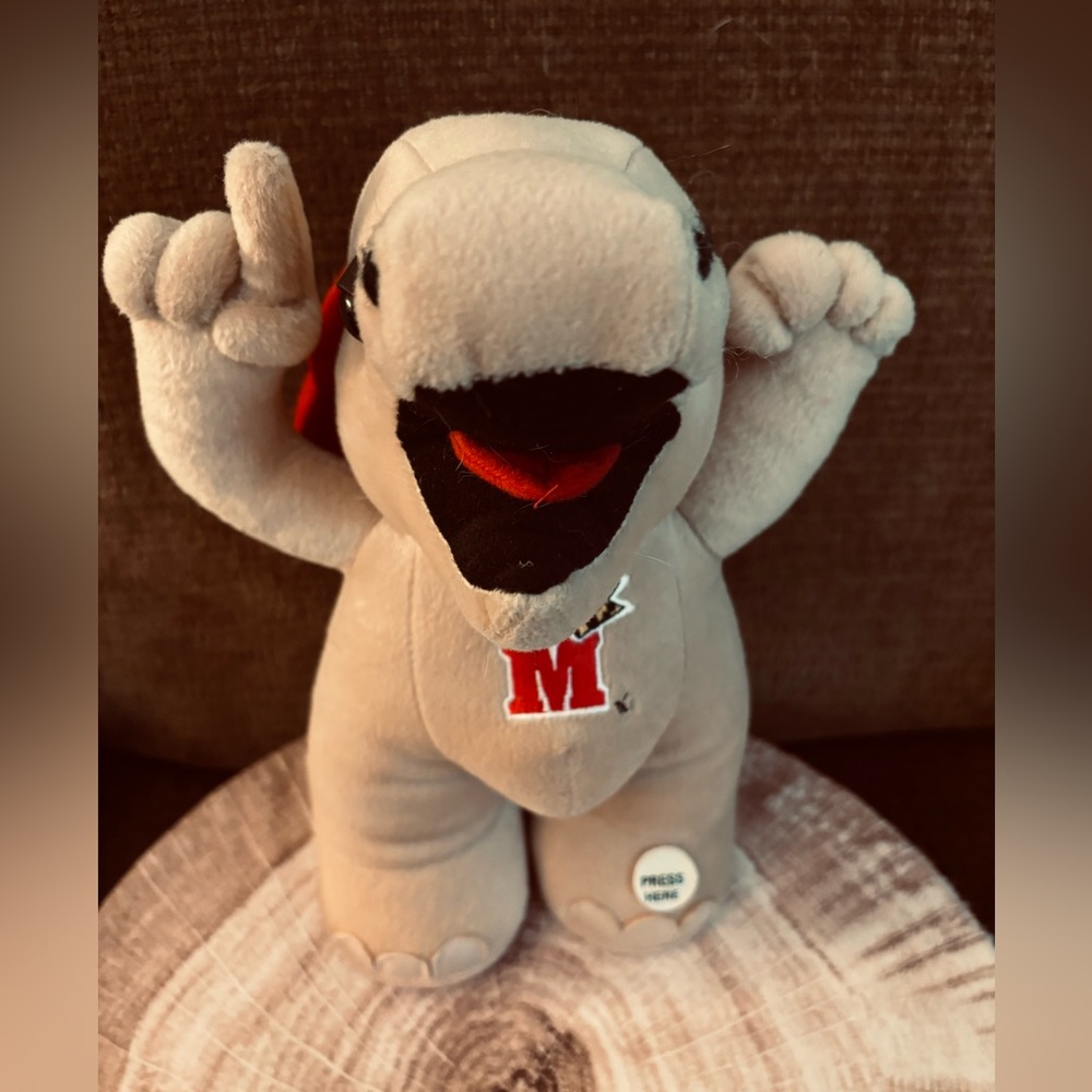 RARE University of Maryland Terrapins Mascot Turtle Musical Fight Song Plush